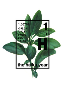 The Haiku Year The Haiku Year