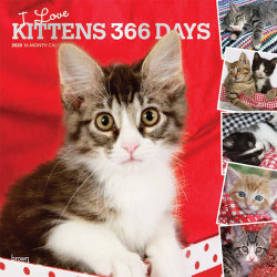 i love this post cat