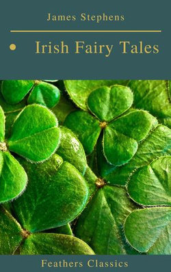 Irish Fairy Tales (Feathers Classics) Irish Fairy Tales (Feathers Classics)