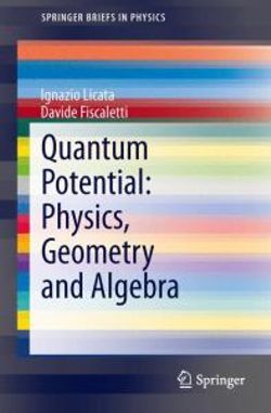 Quantum Potential: Physics, Geometry and Algebra Quantum Potential: Physics, Geometry and Algebra