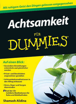 Achtsamkeit fur Dummies Achtsamkeit fur Dummies