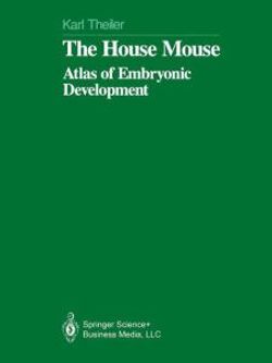 The House Mouse The House Mouse