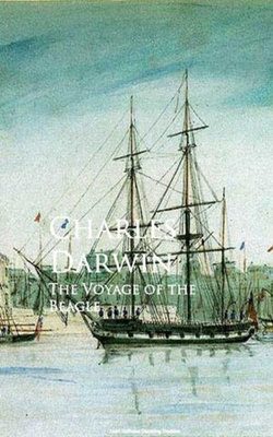 The Voyage of the Beagle The Voyage of the Beagle