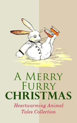 A Merry Furry Christmas: Heartwarming Animal Tales Collection A Merry Furry Christmas: Heartwarming Animal Tales Collection