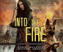 Into the Fire Into the Fire