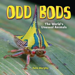 Odd Bods Odd Bods