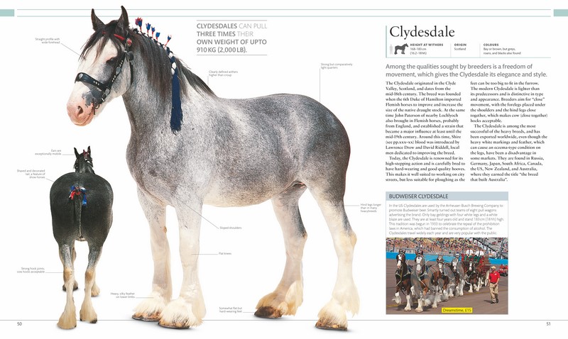 The Horse Encyclopedia Angus & Robertson