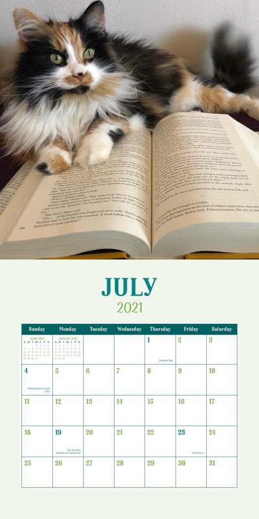 Cats & Books 2021 Wall Calendar | Angus & Robertson